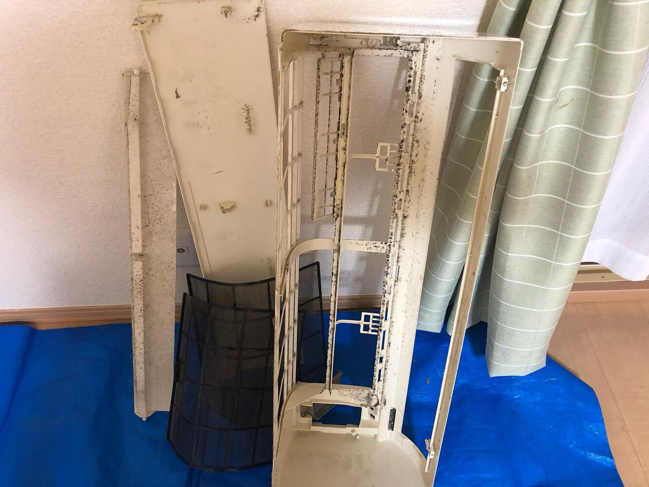 ブログ画像